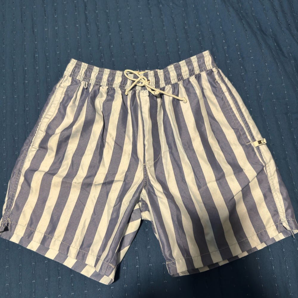 Striped Blue and White Shorts